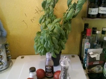 Salat: Tomatensalat Caprese - Rezept - Bild Nr. 2