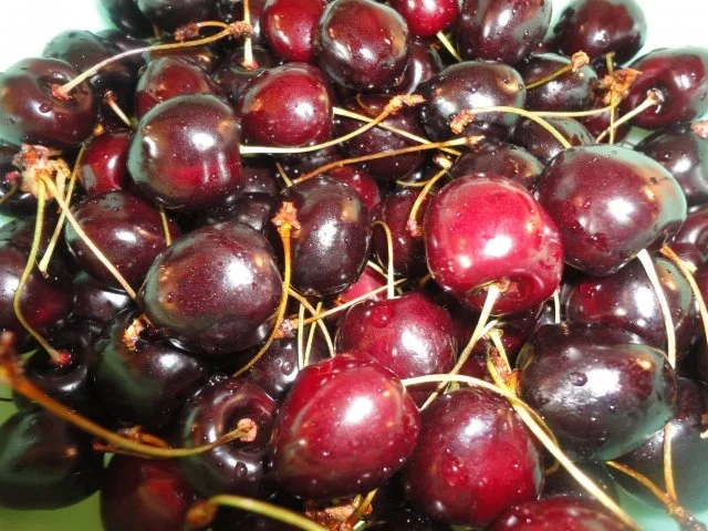 Rezept: Eis: schwarze Kirsche Bild Nr. 3 Eis: schwarze Kirsche - Rezept - Bild Nr. 3