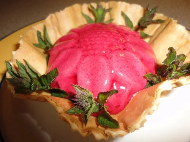 Rezept: Eis: schwarze Kirsche Bild Nr. 12 Eis: schwarze Kirsche - Rezept - Bild Nr. 12