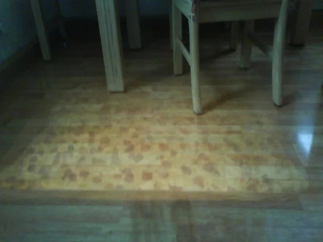 Flammkuchen mit Kräutern - Rezept - Bild Nr. 13