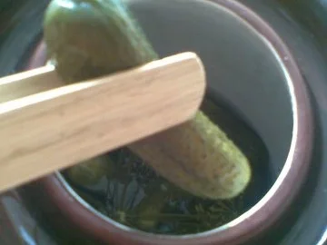 Gewürzgurken selbst eingelegt - Rezept - Bild Nr. 3