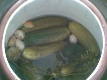 Gewürzgurken selbst eingelegt - Rezept - Bild Nr. 4