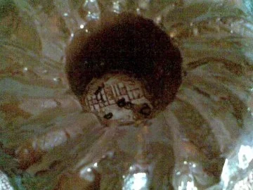 Rezept: Napfkuchen mit Rosinen und Schokoladenstückchen Bild Nr. 4 Napfkuchen mit Rosinen und Schokoladenstückchen - Rezept - Bild Nr. 4