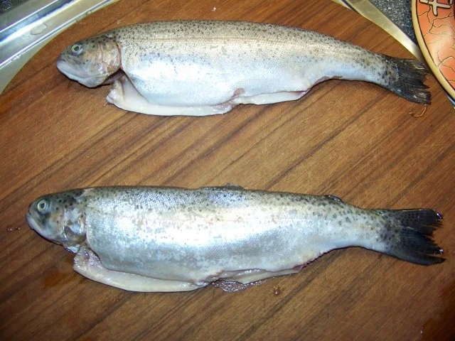 Fisch - Forelle mit Backkartoffel und Gurkensalat - Rezept - Bild Nr. 3