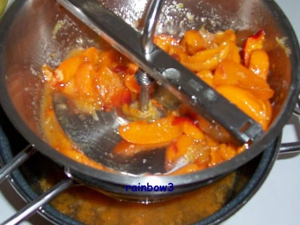 Einmachen: Aprikosenmarmelade - Rezept - Bild Nr. 6