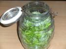 Gesundheit: Tannwipfel-Sirup - Rezept
