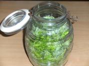Gesundheit: Tannwipfel-Sirup - Rezept