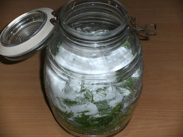 Rezept: Gesundheit: Tannwipfel-Sirup Bild Nr. 2 Gesundheit: Tannwipfel-Sirup - Rezept - Bild Nr. 2