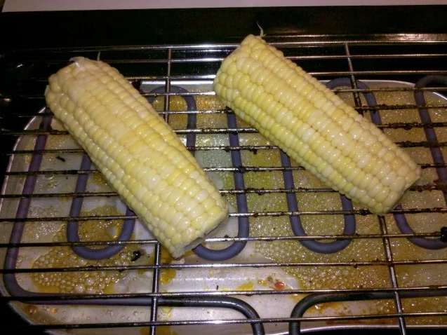 Rezept: Fleisch: Grillen mit der Mitbewohnerin! Bild Nr. 10 Fleisch: Grillen mit der Mitbewohnerin! - Rezept - Bild Nr. 10