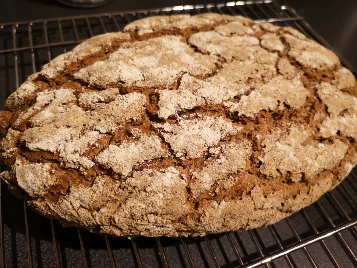 BiNe` S NATURSAUERTEIGBROT - Rezept - Bild Nr. 6948