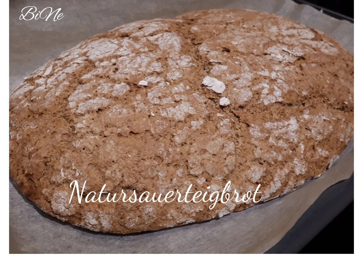 BiNe` S NATURSAUERTEIGBROT - Rezept - Bild Nr. 6943