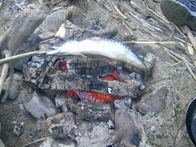 Steckerlfisch Makrele - Rezept - Bild Nr. 4