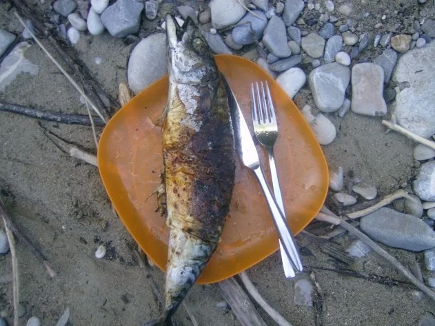 Steckerlfisch Makrele - Rezept