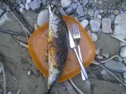 Steckerlfisch Makrele - Rezept