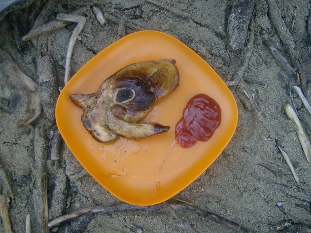 Hähnchenspieße und Spanferkel - Rezept - Bild Nr. 3