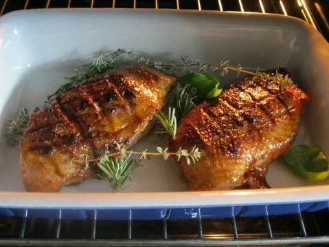 Rezept: 80 Grad Entenbrust in Safran-Sahne-Sauce mit Tagliatelle Bild Nr. 5 80 Grad Entenbrust in Safran-Sahne-Sauce mit Tagliatelle - Rezept - Bild Nr. 5