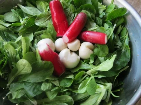 Rezept: 80 Grad Entenbrust in Safran-Sahne-Sauce mit Tagliatelle Bild Nr. 7 80 Grad Entenbrust in Safran-Sahne-Sauce mit Tagliatelle - Rezept - Bild Nr. 7