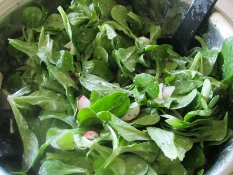 Rezept: 80 Grad Entenbrust in Safran-Sahne-Sauce mit Tagliatelle Bild Nr. 8 80 Grad Entenbrust in Safran-Sahne-Sauce mit Tagliatelle - Rezept - Bild Nr. 8