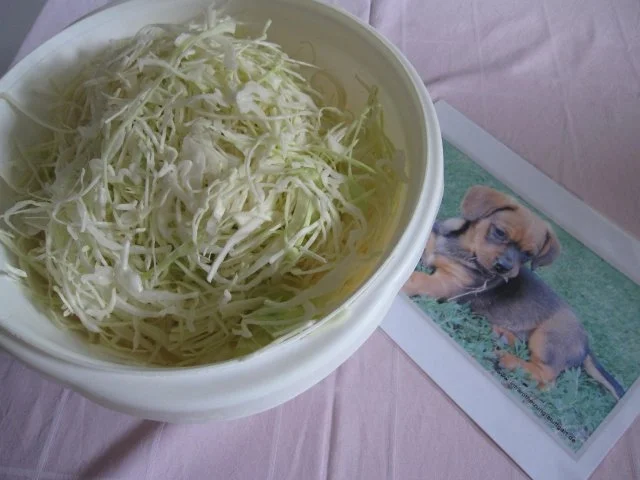 Weißkrautsalat, kroatische Art - Rezept - Bild Nr. 4