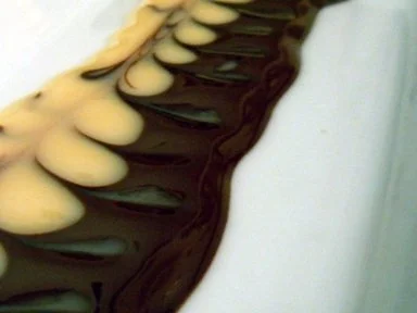 Buttermilch-Brombeer-Parfait - Rezept - Bild Nr. 7