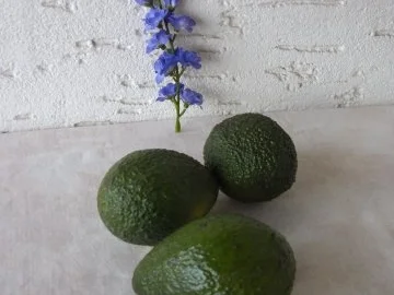 Sauce 6: Avocado - Dill - Sauce - Rezept - Bild Nr. 2