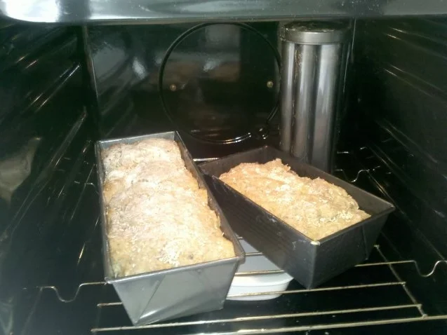 Rezept: Brot: 2. Versuch eines Vollkornbrotes mit Haselnüssen und Sesam Bild Nr. 7 Brot: 2. Versuch eines Vollkornbrotes mit Haselnüssen und Sesam - Rezept - Bild Nr. 7