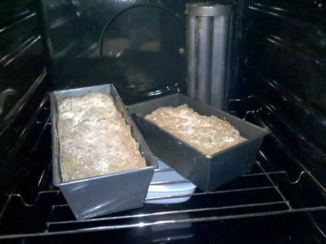 Rezept: Brot: 2. Versuch eines Vollkornbrotes mit Haselnüssen und Sesam Bild Nr. 8 Brot: 2. Versuch eines Vollkornbrotes mit Haselnüssen und Sesam - Rezept - Bild Nr. 8