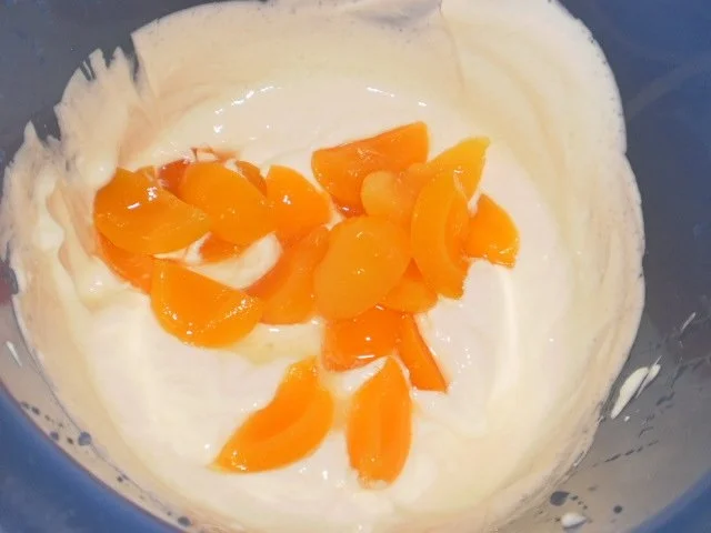 Rezept: Aprikosendessert Bild Nr. 5 Aprikosendessert - Rezept - Bild Nr. 5