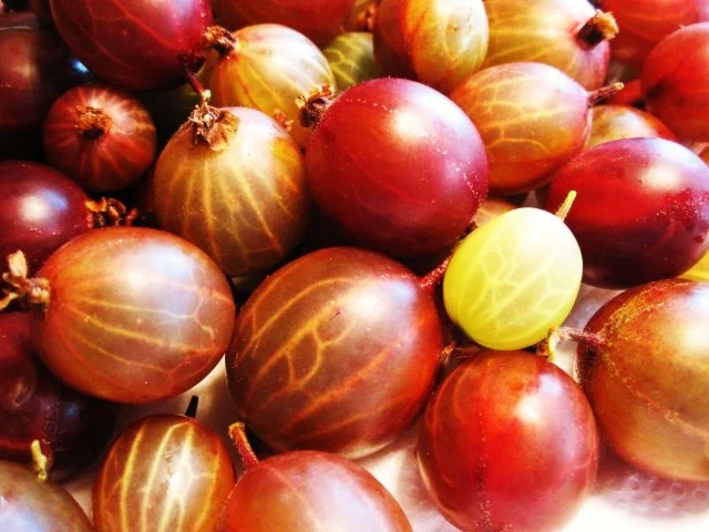 Rezept: Kleiner Stachelbeerkuchen ... Bild Nr. 2 Kleiner Stachelbeerkuchen ... - Rezept - Bild Nr. 2