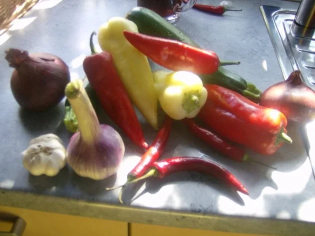 Rezept: Gemüsepfänchen vom Grill Bild Nr. 3 Gemüsepfänchen vom Grill - Rezept - Bild Nr. 3