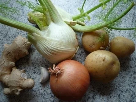 Fenchelsuppe - Rezept - Bild Nr. 2