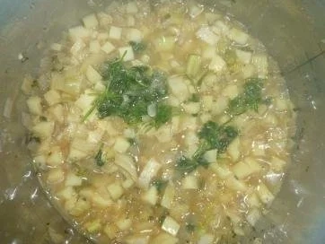 Fenchelsuppe - Rezept - Bild Nr. 4