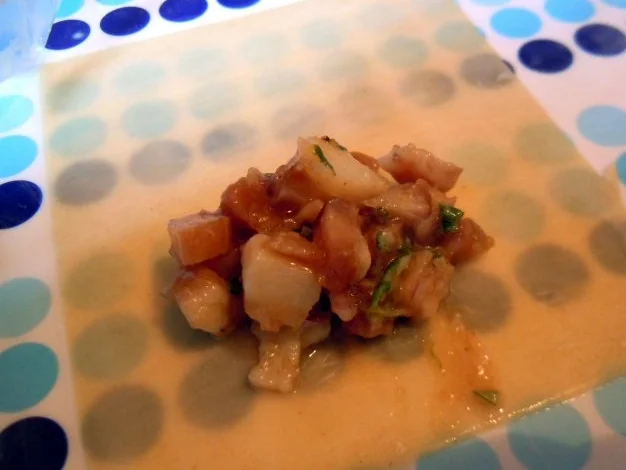 Dim Sum mit Schweine-Kräuter-Füllung - Rezept - Bild Nr. 5