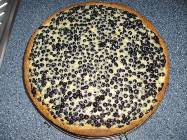 Heidelbeerkuchen - Rezept - Bild Nr. 5