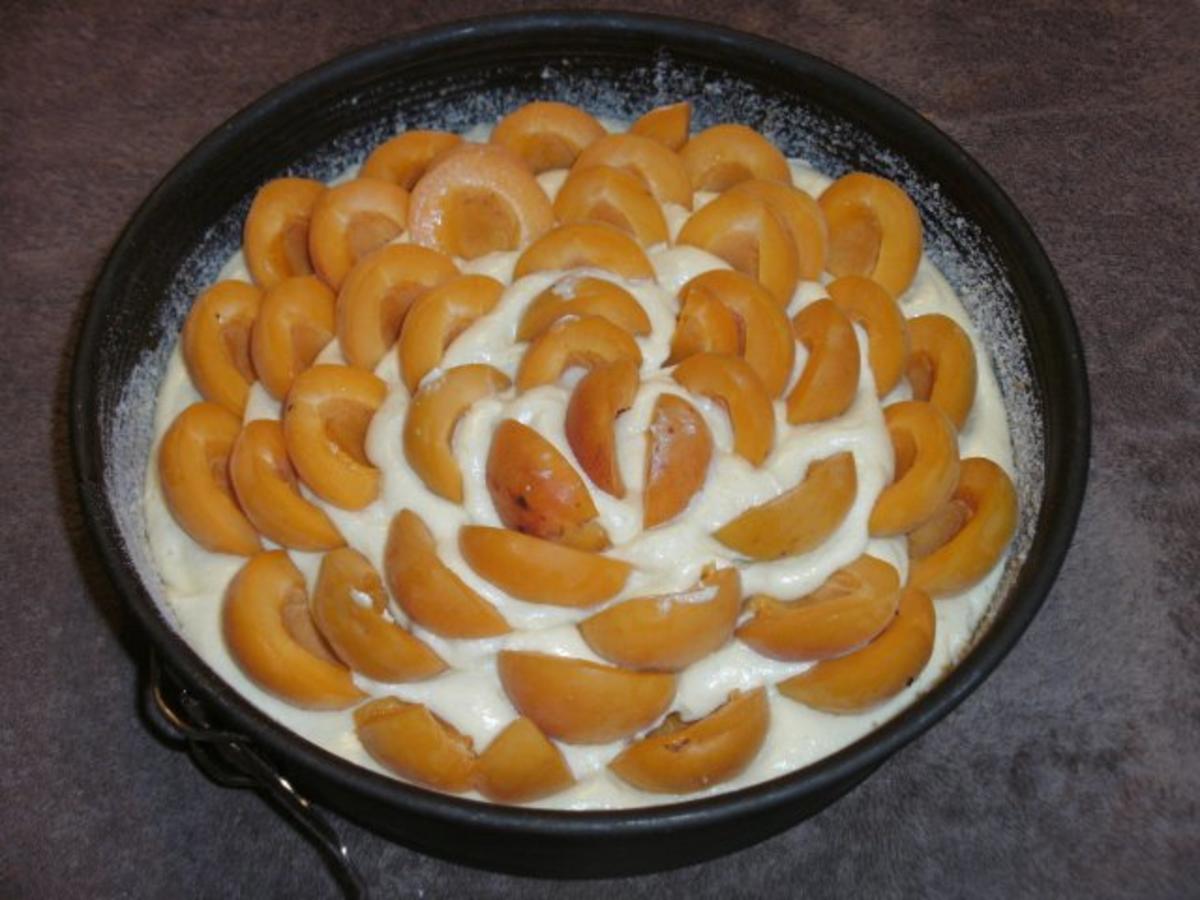Aprikosenkuchen - Rezept - Bild Nr. 4