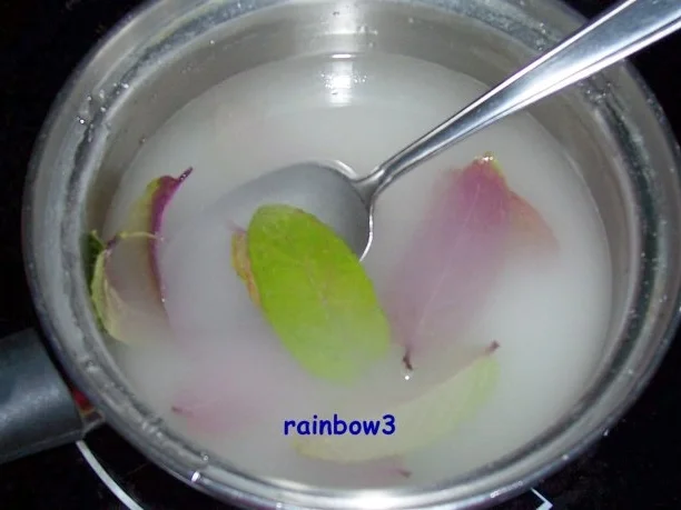 Rezept: Sirup: Schoko-Minze Sirup: Schoko-Minze - Rezept