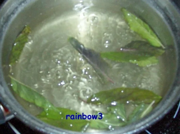 Rezept: Sirup: Schoko-Minze Bild Nr. 2 Sirup: Schoko-Minze - Rezept - Bild Nr. 2