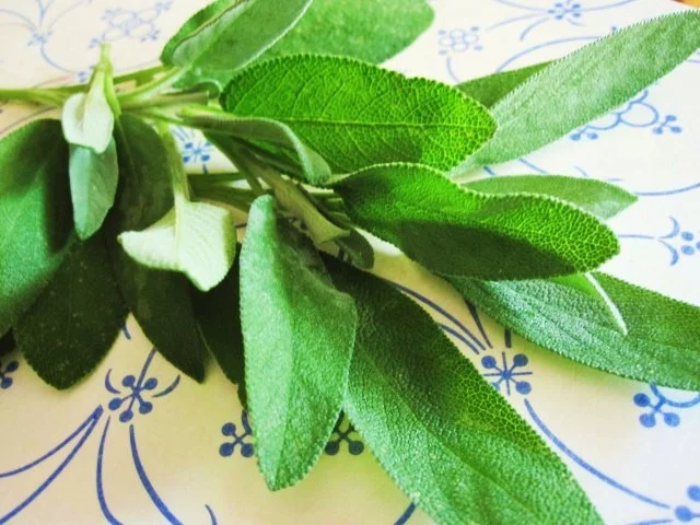 Rezept: Spätzle mit Knusper-Salbei ... Bild Nr. 3 Spätzle mit Knusper-Salbei ... - Rezept - Bild Nr. 3