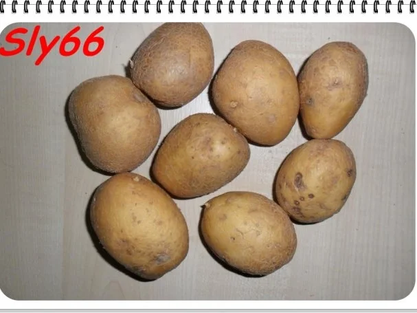 Aufläufe:Filet-Kartoffel-Champignonauflauf - Rezept - Bild Nr. 2