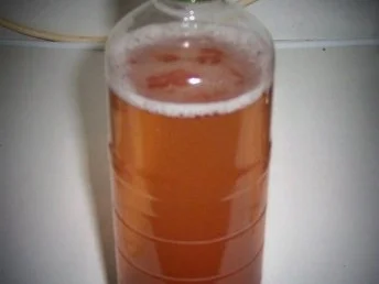 Rezept: Getränk: Johannisbeerlimonade Bild Nr. 2 Getränk: Johannisbeerlimonade - Rezept - Bild Nr. 2