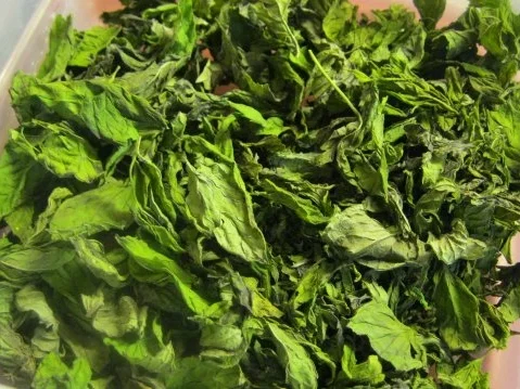 Rezept: Minze-Tee Bild Nr. 4 Minze-Tee - Rezept - Bild Nr. 4