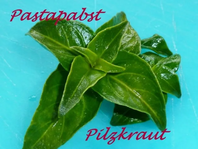 Dreierlei Ravioli mit Kräuterpesto - Rezept - Bild Nr. 2