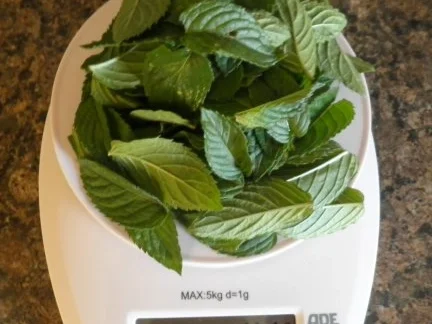 Rezept: Pfefferminz - Sirup Bild Nr. 3 Pfefferminz - Sirup - Rezept - Bild Nr. 3