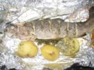 Backforelle mit Kräuterbutter - Rezept