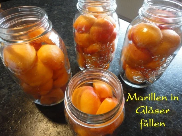 Marillen/ Aprikosen Kompott - Rezept - Bild Nr. 5