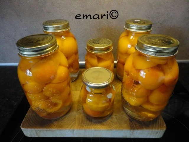 Marillen/ Aprikosen Kompott - Rezept