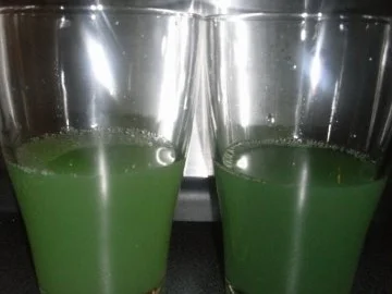 BiNe` S GRUENER ERFRISCHUNGSTRUNK - Rezept - Bild Nr. 4