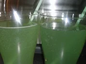 BiNe` S GRUENER ERFRISCHUNGSTRUNK - Rezept