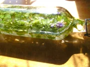 Minz-Schnaps-Minz Likör - Rezept