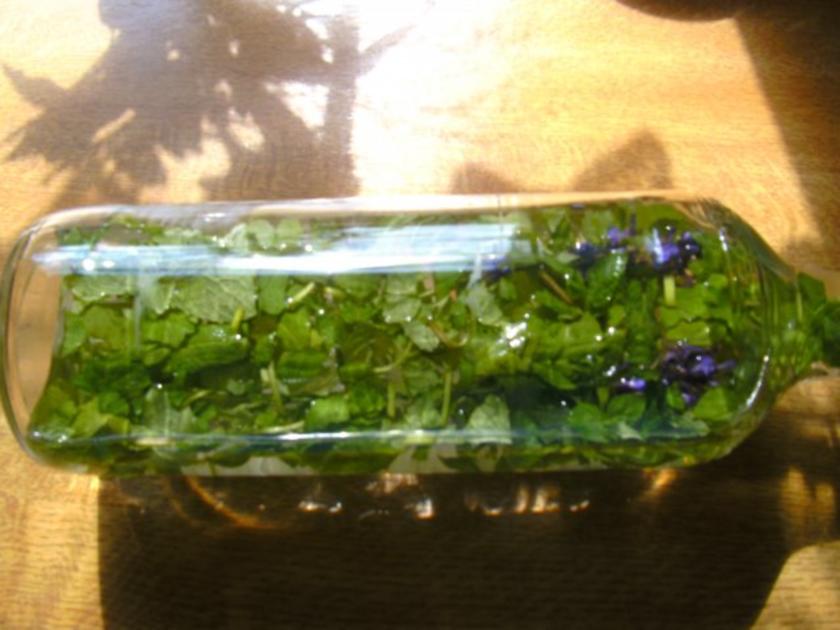 Minz-Schnaps-Minz Likör - Rezept mit Bild - kochbar.de